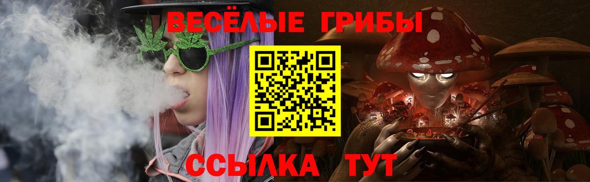 Псилоцибиновые грибы прущие грибы Мытищи